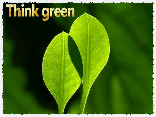 ECO
